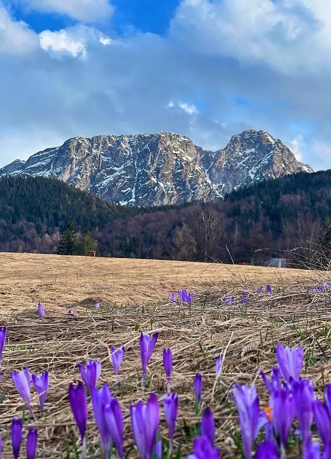 Apartament Wilcza Jama Z Kominkiem - Viva Pod Giewontem Apartamenty Zakopane Appartamento